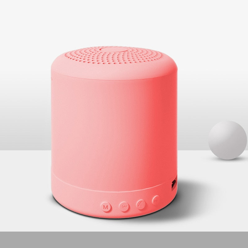 Mini Smart Speaker