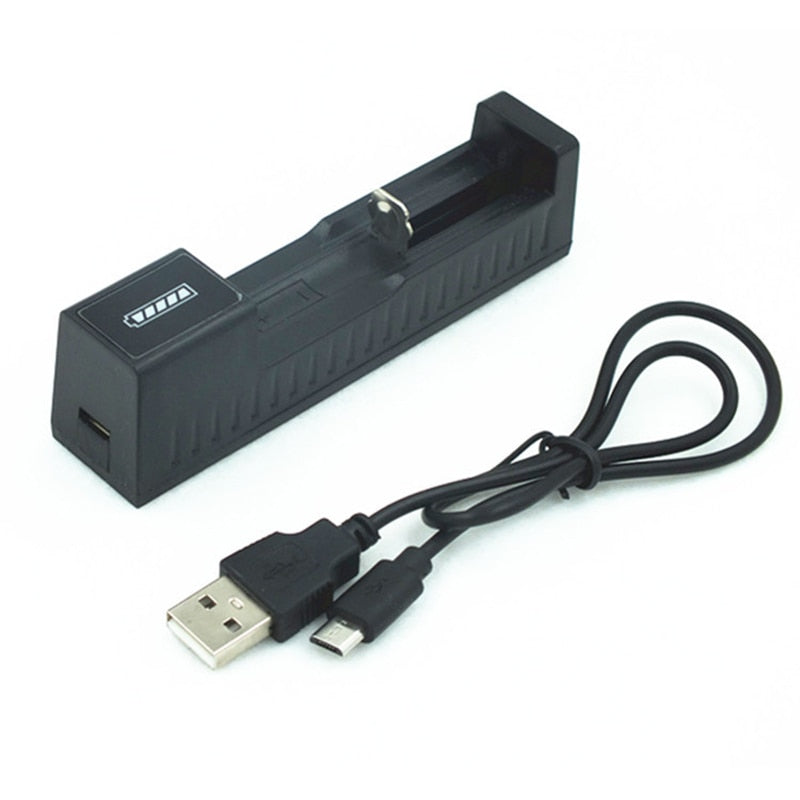 2 slot USB Universal Battery Charger