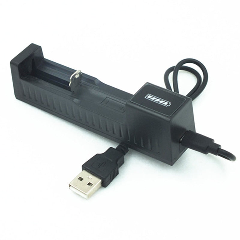 2 slot USB Universal Battery Charger